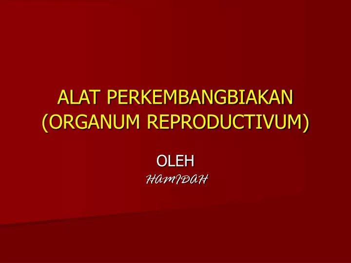 alat perkembangbiakan organum reproductivum