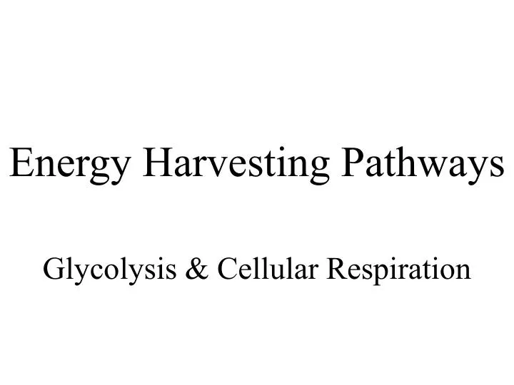 energy harvesting pathways