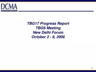 TBG17 Progress Report TBG6 Meeting New Delhi Forum October 2 - 6, 2006