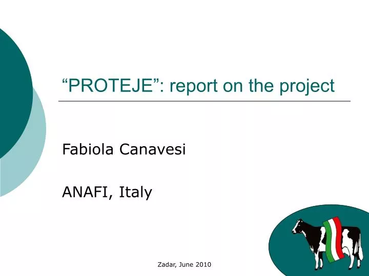 proteje report on the project
