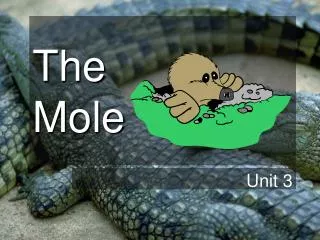 The Mole