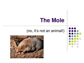 The Mole