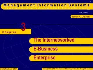 The Internetworked E-Business Enterprise