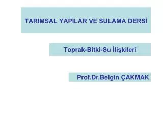 toprak bitki su li kileri