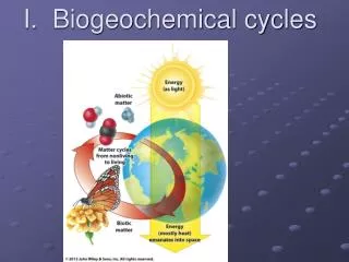 I. Biogeochemical cycles