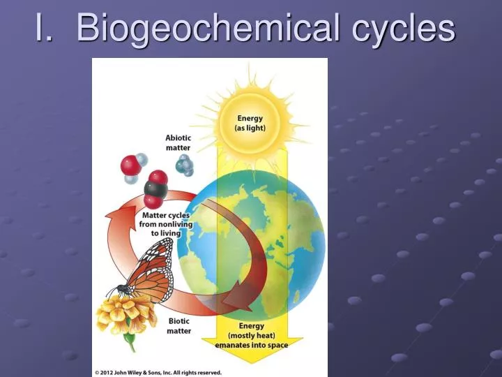 i biogeochemical cycles