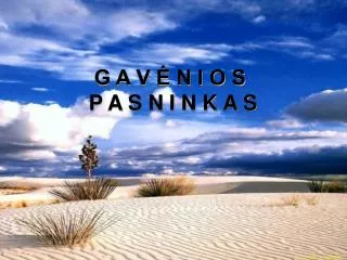 g a v n i o s p a s n i n k a s