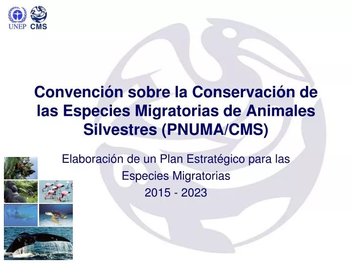 convenci n sobre la conservaci n de las especies migratorias de animales silvestres pnuma cms