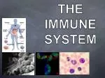 THE IMMUNE SYSTEM - slide 1