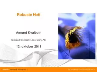 robuste nett
