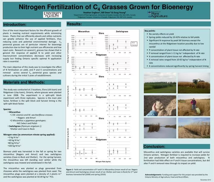 nitrogen fertilization of c 4 grasses grown for bioenergy