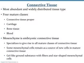 connective tissue