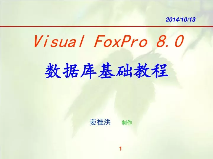 visual foxpro 8 0