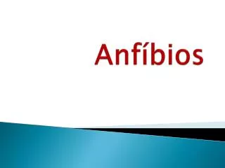 anf bios