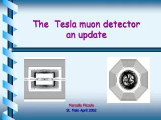 The Tesla muon detector an update