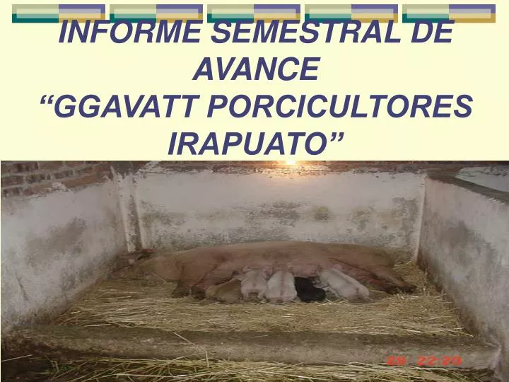 informe semestral de avance ggavatt porcicultores irapuato
