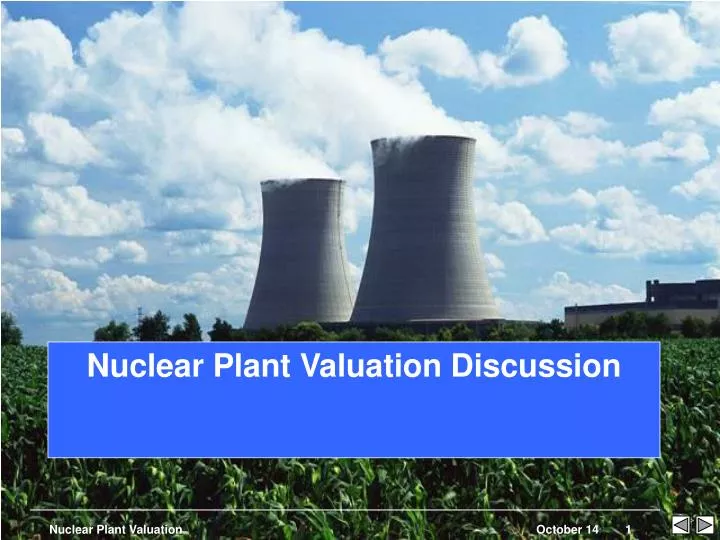 nuclear plant valuation discussion