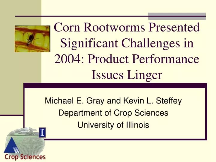 corn rootworms presented significant challenges in 2004 product performance issues linger