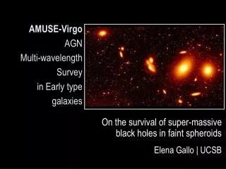 AMUSE-Virgo AGN Multi-wavelength Survey in Early type galaxies