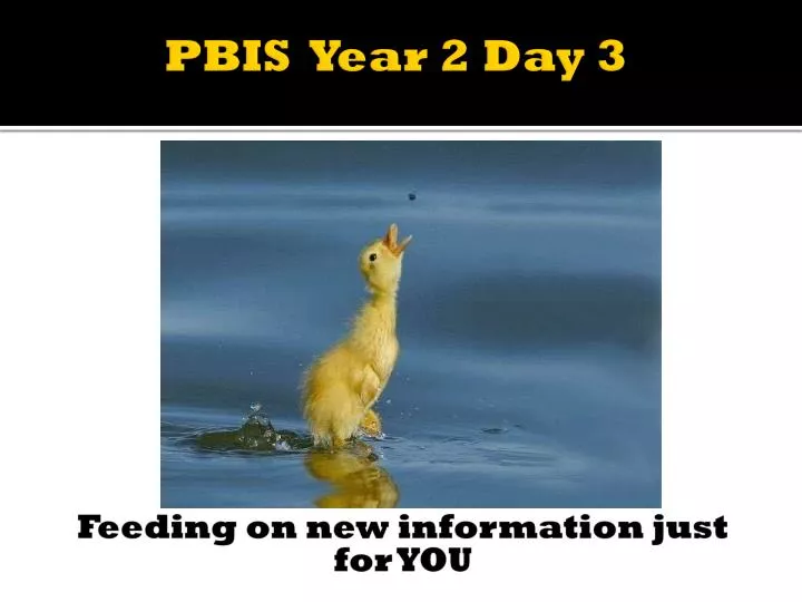 pbis year 2 day 3