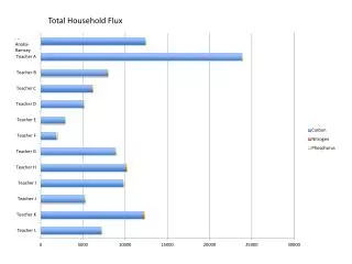 Total Household Flux