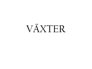 v xter