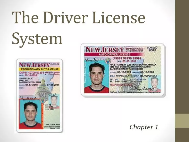 the driver license system