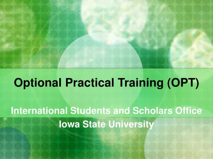 optional practical training opt