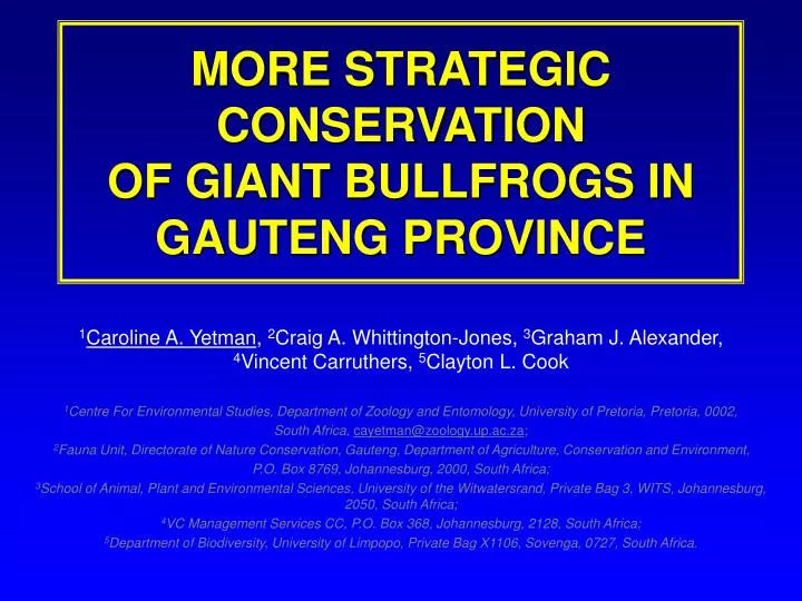 more strategic conservation of giant bullfrogs in gauteng province