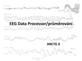 eeg data processor pr m rov n