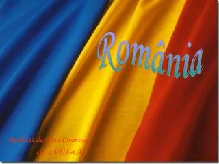 realizat de grad cosmina cls a viii a a