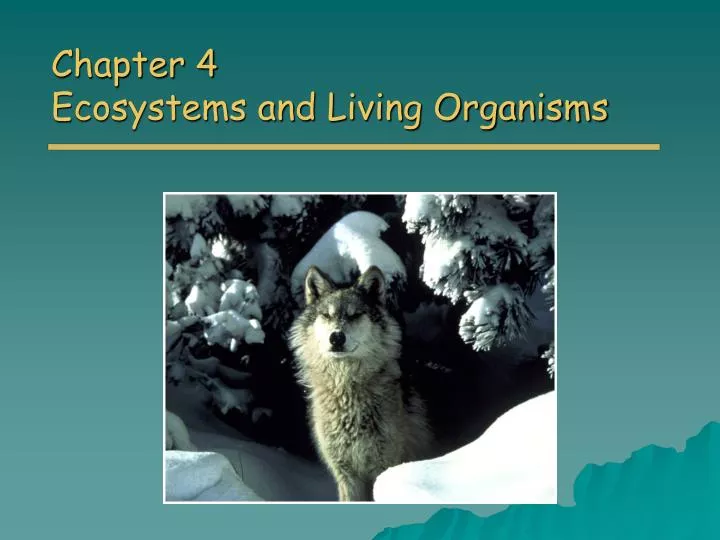 chapter 4 ecosystems and living organisms