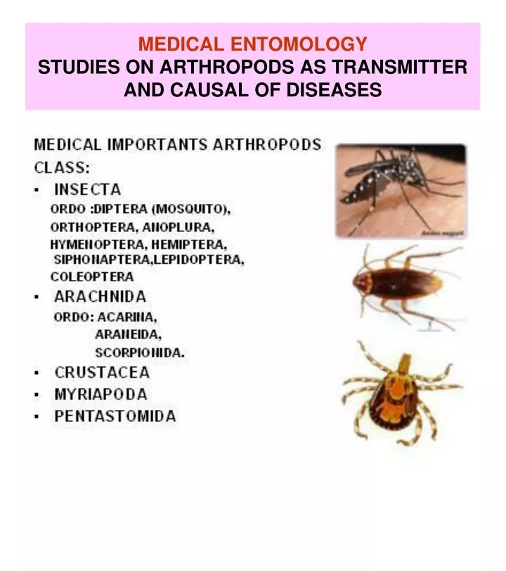 medical entomology studies on arthropods as transmitter and causal of diseases