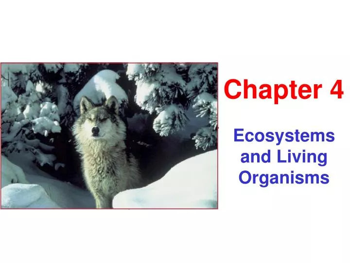 ecosystems and living organisms