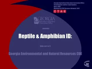 Reptile &amp; Amphibian ID: