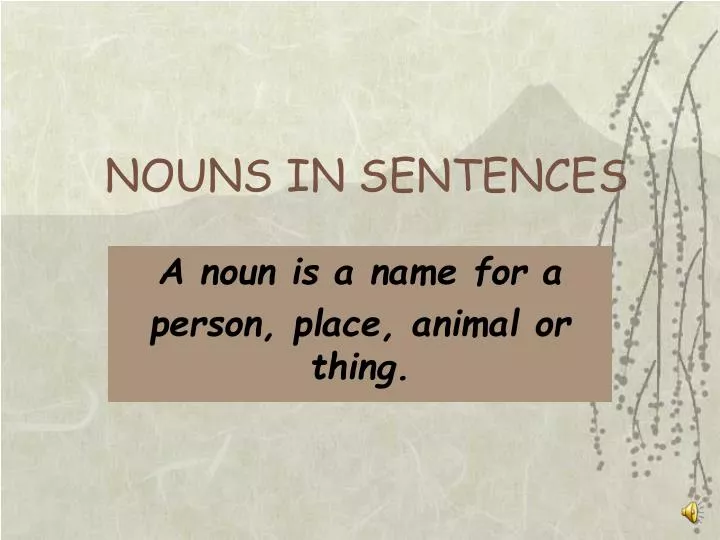 nouns in sentences