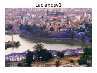 lac anosy1