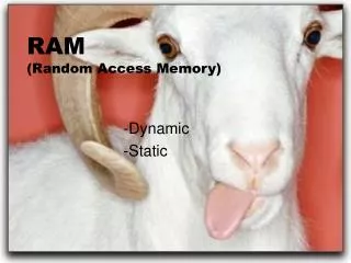 RAM (Random Access Memory)