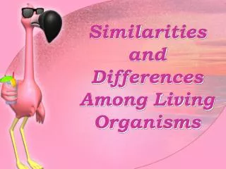 Similarities and Differences Among Living Organisms