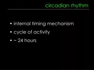 circadian rhythm