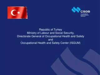 Republic of Turkey Ministry of Labour and Social Security,