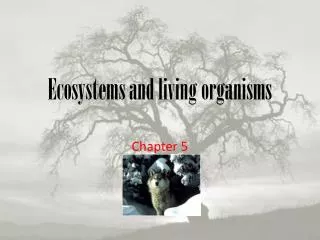 Ecosystems and living organisms