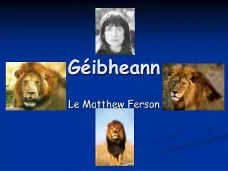 g ibheann