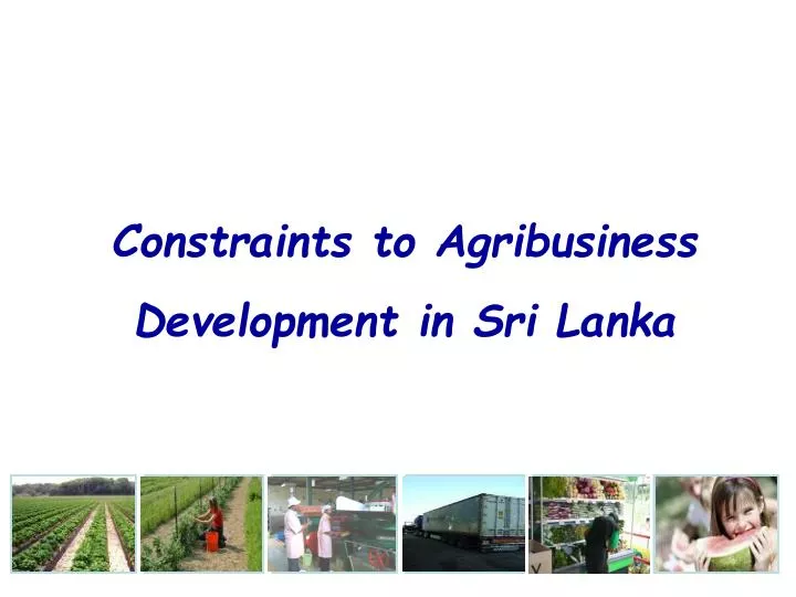 constraints to agribusiness development in sri lanka