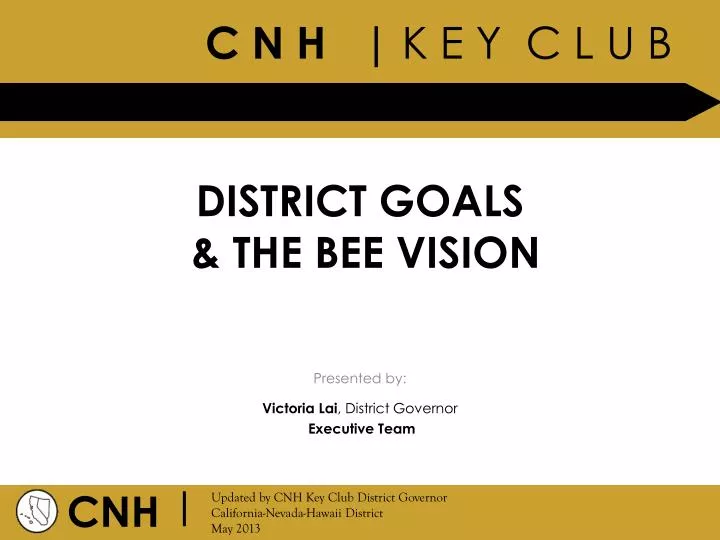 district goals the bee vision