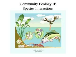 Community Ecology II: Species Interactions