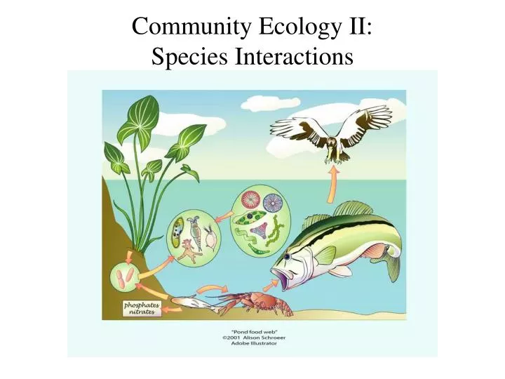community ecology ii species interactions