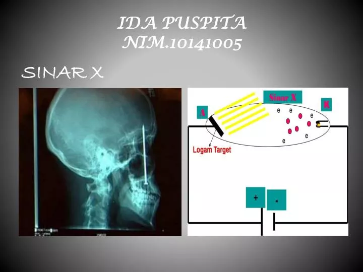 ida puspita nim 10141005