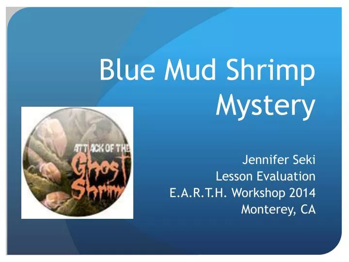 blue mud shrimp mystery