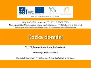 ko ka dom c